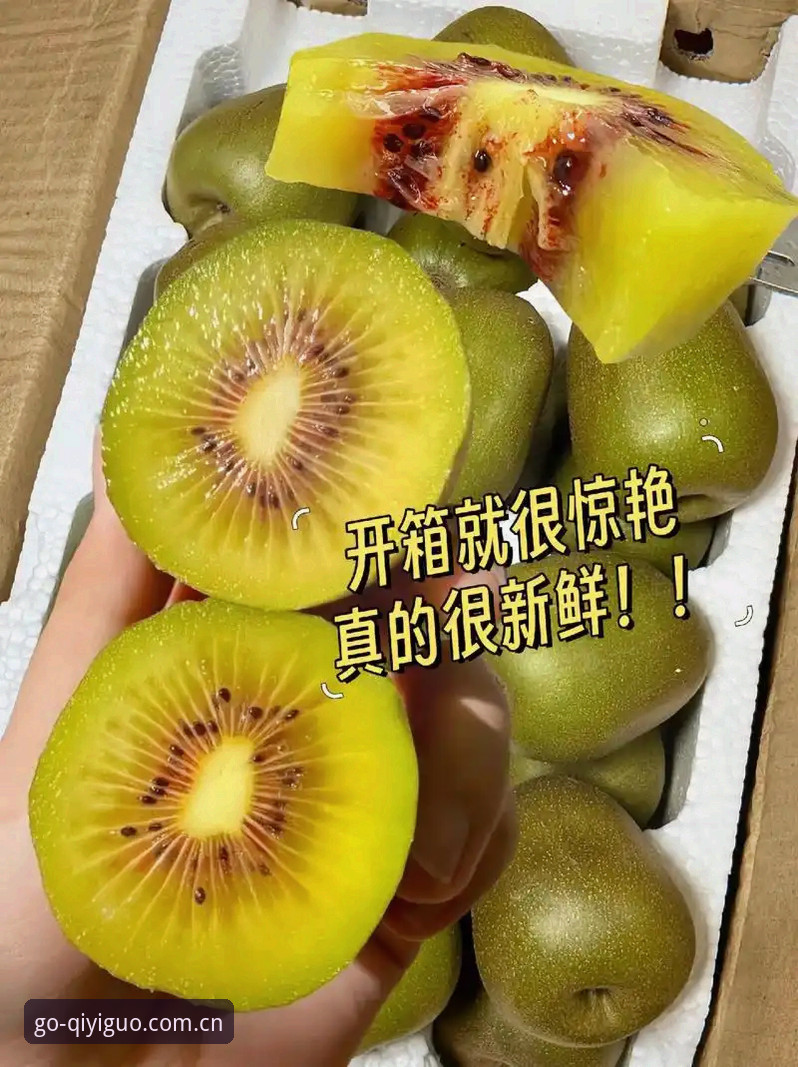 奇异果体育最新版下载最新版 奇异果体育平台高效使用指南:从下载到专业赛事解读全攻略